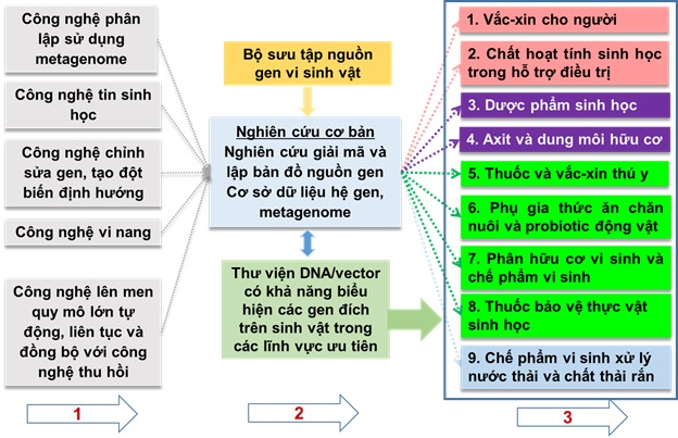 Nguyễn Đức Hoàng -1