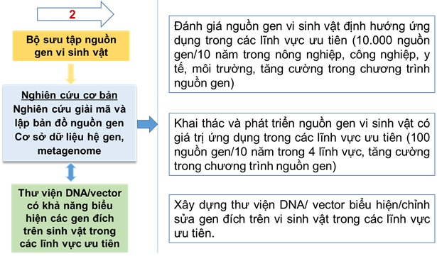 Nguyễn Đức Hoàng -3